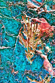 N 225C